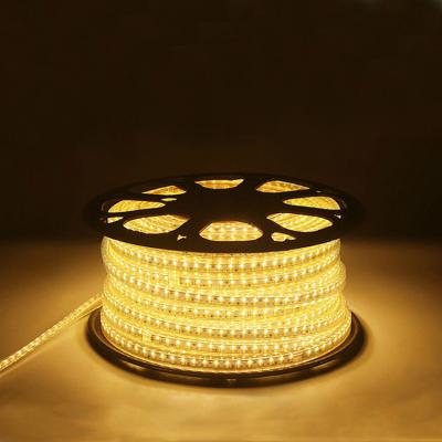 China LANDSCAPE waterproof IP65 affordable white led strip 120 LED smd 2835 led strip 24v for sale