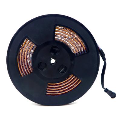 China Wholesale LANDSCAPE Amazon Best Seller Ce Rohs Dc12v Affordable Rgb Led Strip for sale