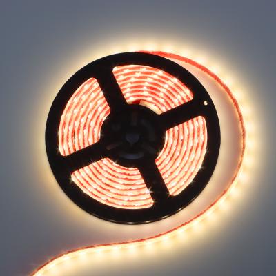 China LANDSCAPE UK 5050 RGB Lightweight Flexible 4 Pin 1 PC Profilato Outdoor Led Strip Waterproof for sale