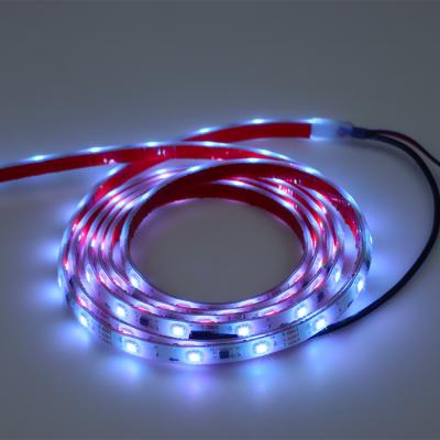 China Indoor LANDSCAPE 10m 100m Flexible Colorful Room Lights 4000k Ip68 24v 360 Led Strip Light for sale