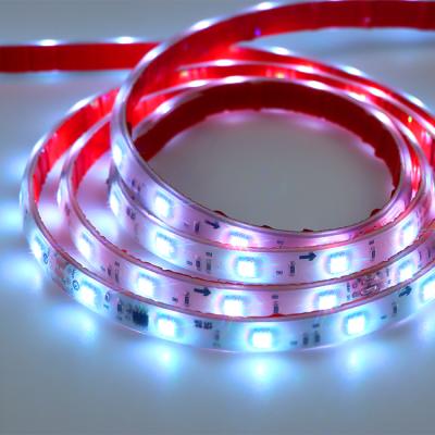 China Accessible 100m Dreamcolor LANDSCAPE Flexible Dynamic Waterproof Rbg Set Led Strip Light for sale