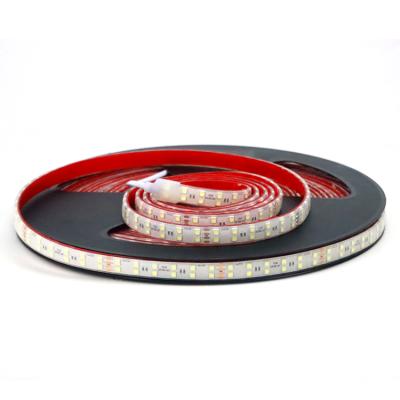 China LANDSCAPE 100ft Dc24v 4.8w 10w 18w Lights Underwater Warm Flexible Led Light Strips Ip68 for sale