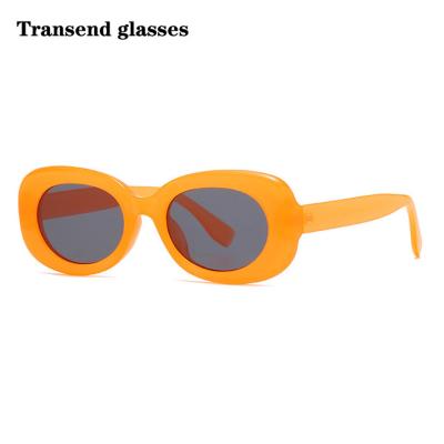 China Fashion sunglasses shape simple sunglasses color ladies PC oval sunglasses retro OEM LOGO sunglasses material for sale