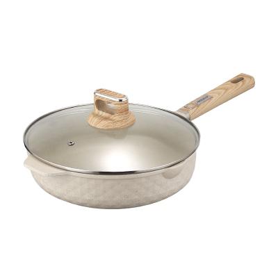 China CLASSIC Plain Hard Anodized Granite Aluminum Paint Inside Frying Pan Non Stick Coating Big Size With Cover for sale