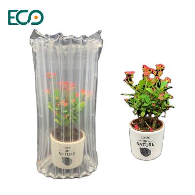 China 45CM*300M Air Cushion Packaging  Eco Friendly Inflatable For Live Plants for sale