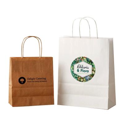 China Unique Colour Printing Commercial Kraft Paper Packaging Bag With Twisted Handle for sale