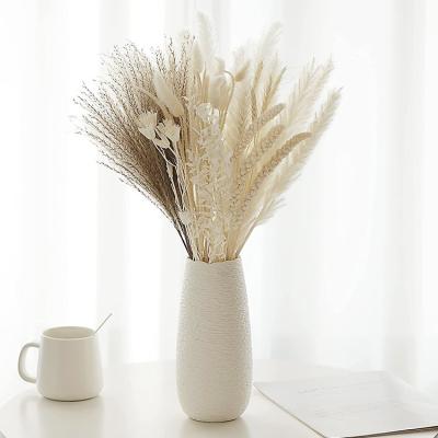 China 85Pcs Boho Dried Pampas Home Decor Dried Flower Arrangements White and Natural Pampas Grass, Reed, Bunny Tails for sale