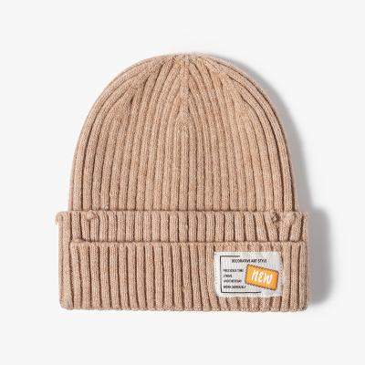 China JOINT Custom Wholesale Fashion Sunborry Cashmere Trendy Warm Winter Recycled Women Men Knitted Beanie Hat for sale