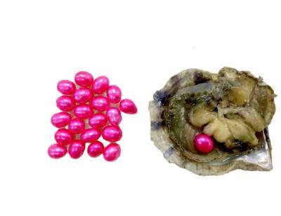 China Fashionable Pearl in a Loose 6-8mm Pearl Vacuum Packed Oyster Pearl Party Gift/Wish for sale