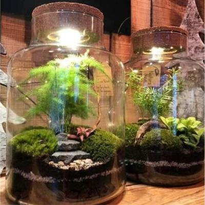 China Holiday Decoration LED Cork Light Potted Plant Flower Glass Bottle Cork Wood Lights for sale