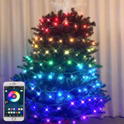 China Outdoor Waterproof USB 50LED 24.6ft Changing Decoration Light Color String Lights APP Smart Lights for Wedding Party Street Yard Decoration for sale