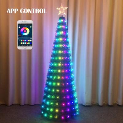 China Modern Dream 176LED Outdoor LED String Light Colorful APP String Lights Color Changing For Wedding Party Holiday for sale