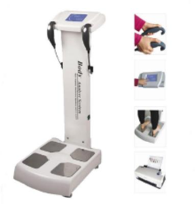 China Newest commercial use human body analyzer/body analysis machine for sale