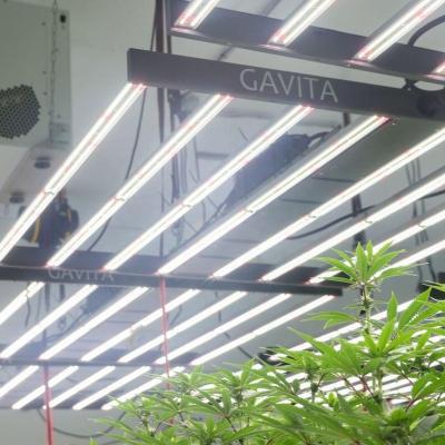 China Seed Starting 2021 550W 4x4 LED Grow Light for sale