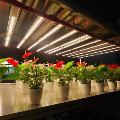 China Easily Assembled LED Growing Light For Indoor Growing Rack for sale