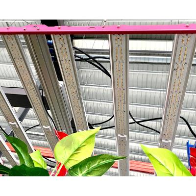 China Seed Starting LED 2021 Grow Light for sale