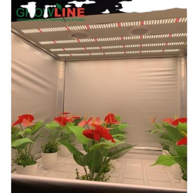 China Aluminum+PC grow light for indoor plants for sale