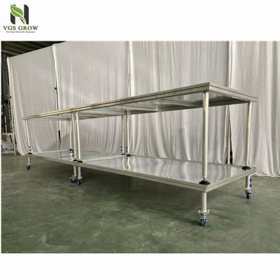 China Double Layer Indoor Planting Vertical Grow Mobile Hydroponic Growing Rack System For Cultivation for sale