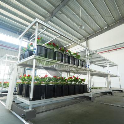 China Greenhouse Indoor Planting Planting Grow Rack Shelves for sale