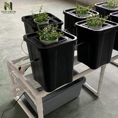 China Aeroponics Indoor Planting Hydroponics Grow Kit Dutch Bucket For Sale for sale