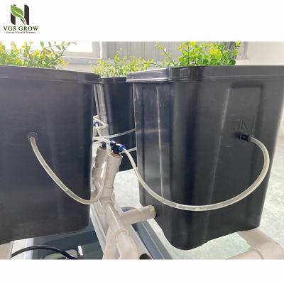 China PP Aeroponic Dutch Bucket System Indoor Planting Hydroponic Growing System for sale