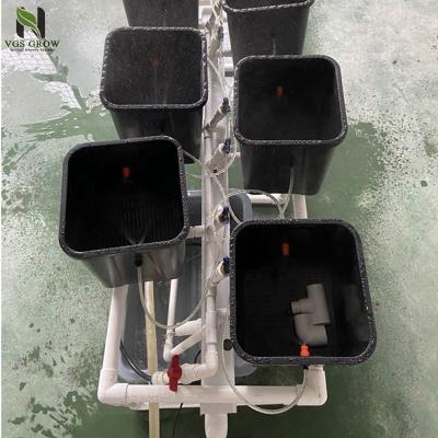 China Aeroponics plastic aeroponic dutch bucket system indoor hydroponic planting system for sale