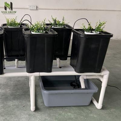 China Dutch Bucket System Indoor Planting Hydroponic Growing Systems Drip Irrigation for sale