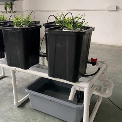 China 6 Pot Bucket System Drip Irrigation Indoor Planting Dutch Hydroponic Growing for sale