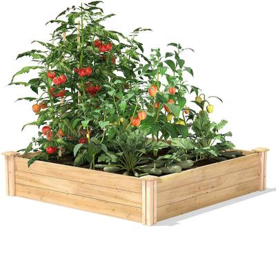 China Modern Creativity Outdoor Plantation Wood Wholesale Cedar Raised Garden Raised Bed for sale