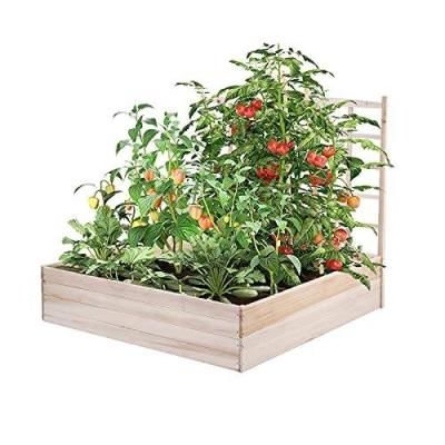 China Modern Natural Cedar Raised Garden Bed For Vegetable Plantation for sale