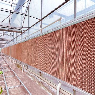 China Greenhouse /Poultry Farm/Poultry Farm Greenhouse/Warehouse/Factory/Factoey Evaporative Cooling Pad for sale