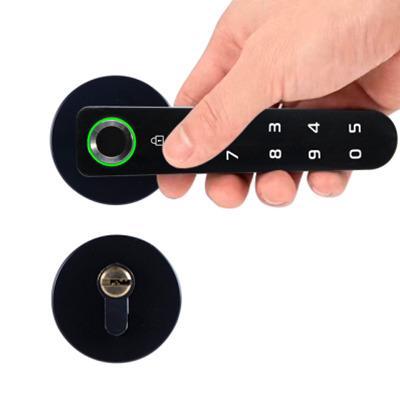 China House office hotel smart locks fingerprint locks smart door handle locks tuya app security digital lock remote control password passcode for sale