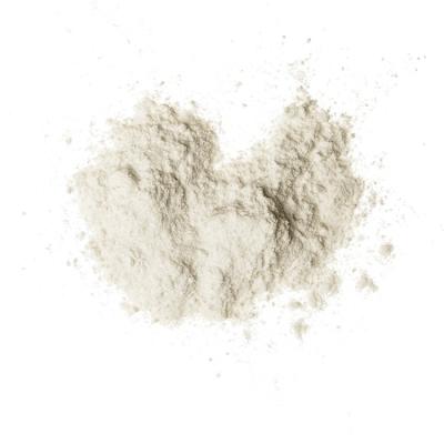 China Increase the Nature Flavor of Your Soups Good Quality Grain Products Chicken Essence Chicken Powder Mix Hot Selling Seasoning Powder for sale