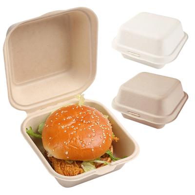 China Eco-Friendly Recyclable Disposable Plastic Hamburger Packing Box Biodegradable Take Away Hamburger Lunch Box Cutstom Design for sale