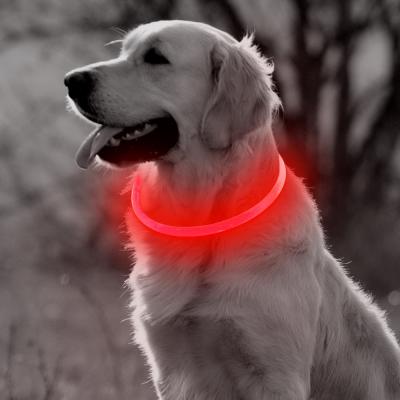 China USB LED Dog Collar Viable Light Flashing Night Light Rechargeable Glowing Charging Collars Pet Dog Collars for sale