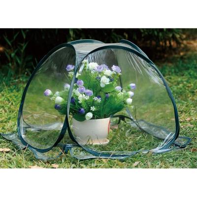 China PVC Mini Greenhouse for small plants and flowers for sale