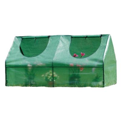 China PE Mini Greenhouse for small plants and flowers for sale