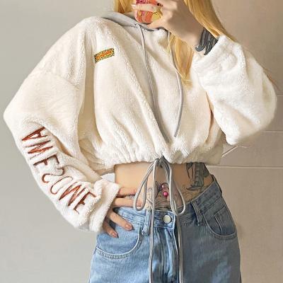 China Custom Fleece Women Logo Embroidered Chenille Short Hoodie Sherpa Anti-pilling In-Stock Items Crop Top Hoodie for sale