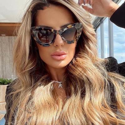 China Fashion sunglasses 2022 thick frame cat eye sunglasses new trend sunglasses female custom personality wholesale logo small for sale