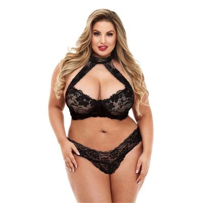 China Hot Sales Polyester Plus Size 2 Pieces Embroidery Flowers Lace Black Underwear Transparent Bra Set Cute Women Panties Lingerie for sale