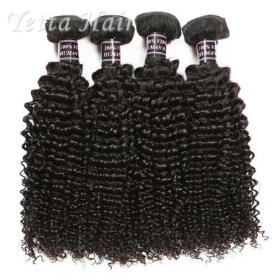 China Kinky Curl Indian Human Hair Extensions Natural Black Without Chemical for sale