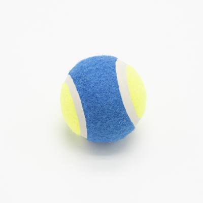 China ODM Sustainable Custom Pet Toy Professional Training Dogs Exercise Blue Dog Tennis Ball for sale