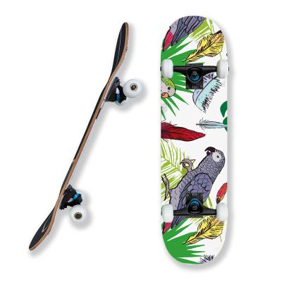 China 7 ply cheap chinese maple youth skateboard pro complete skateboard with 54*36mm wheels skate board for beginners for sale