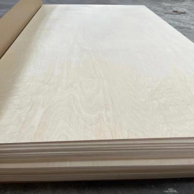 China Competitive Price Durable Birch / Poplar Plywood 3mm 6mm 9mm 12mm 15mm 18mm 25mm For Furniture for sale