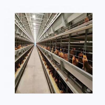 China Automatic Farms H Type Battery Poultry Cage For Layer Chickens for sale