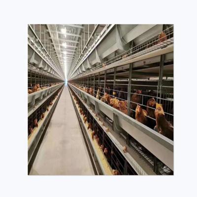 China Commercial H Type Battery Chicken Egg Layer Poultry Farms Price A Type Cage For Sale for sale