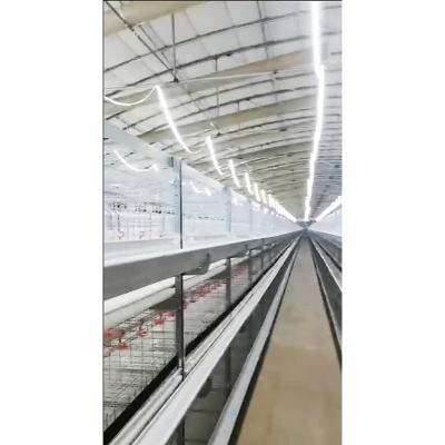 China Farms Layer Chicken H Type Layer Chicken Cage Poultry Feed Chicken Cage System for sale