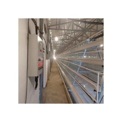 China Farms Highly Recommended One Year Warranty Material Zinc-Aluminum Alloy Chicken Poultry Layer Cage for sale