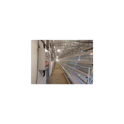 China Poultry Full Automatic Chicken Layer Cage One Type 4 Layers Cage Poultry Farm Equipment Fully Automatic Chicken Feed for sale