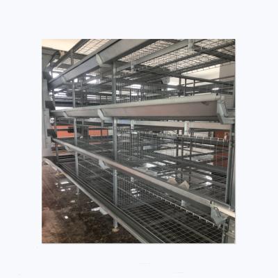 China Increase Layer H Type Chicken Layer Cage Egg Production Poultry Battery Plant For Poultry Farm Animal Cage for sale